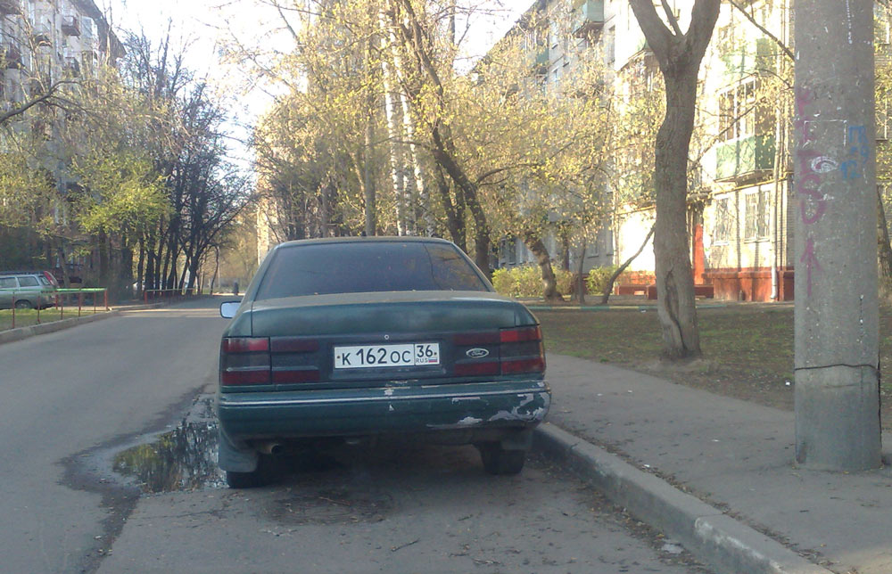 6скорп.jpg