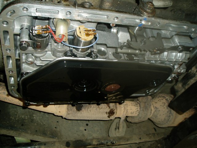 P1010234.JPG