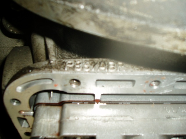 P1010236.JPG