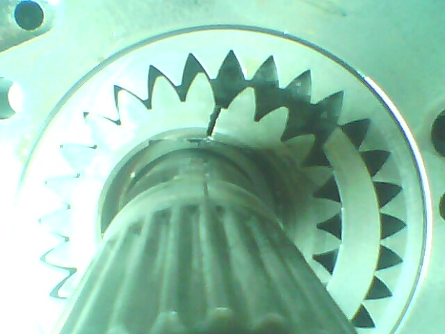 IMG0058A.jpg