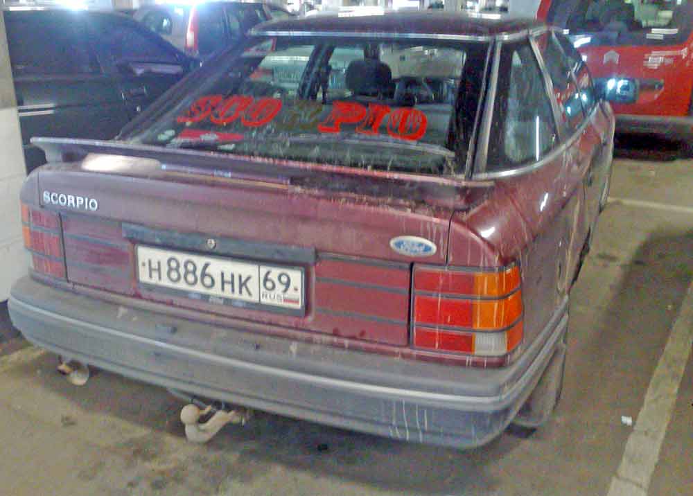 скорп.jpg