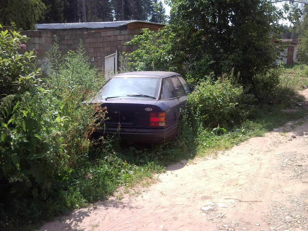 Вербилки - мёртвый скорп.jpg