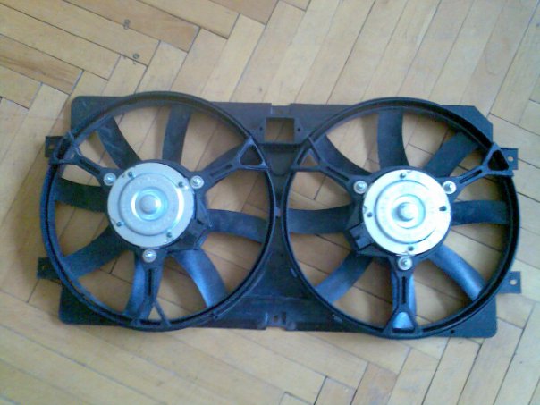 x_dcc6e503.jpg
