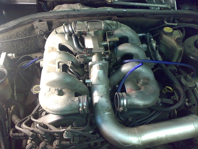 24072010325.jpg