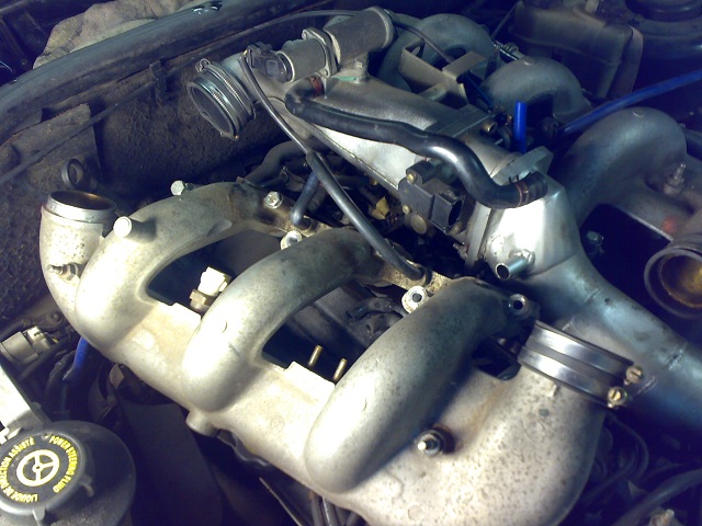 24072010326.jpg
