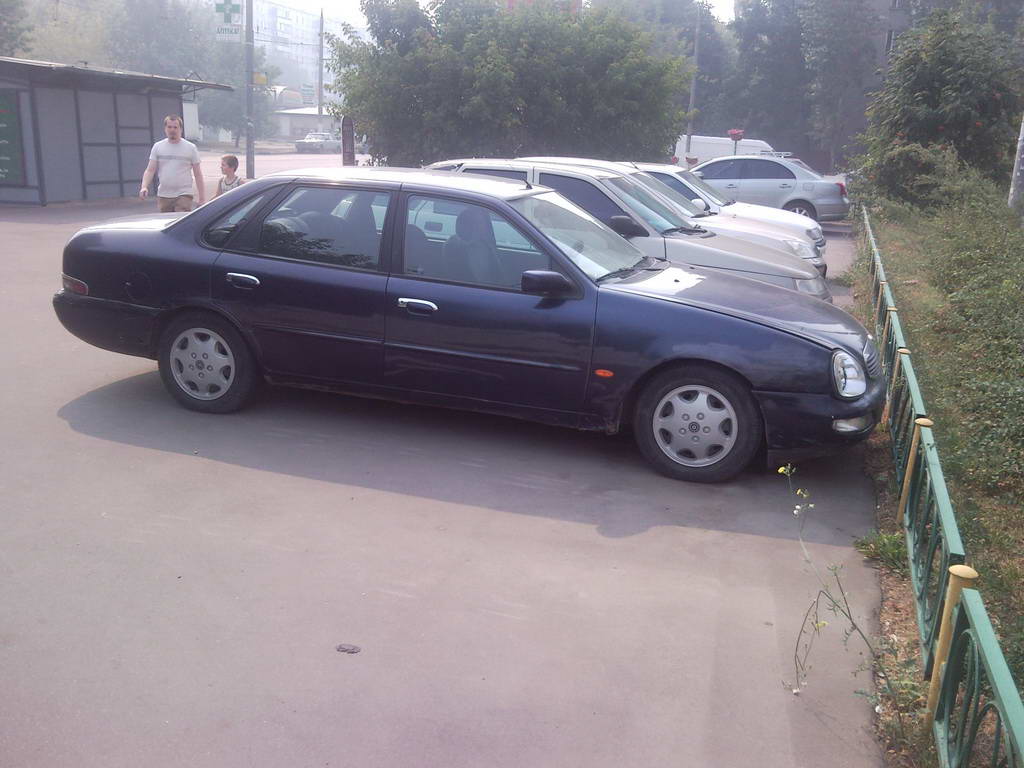 В конце ул Молостовых.jpg