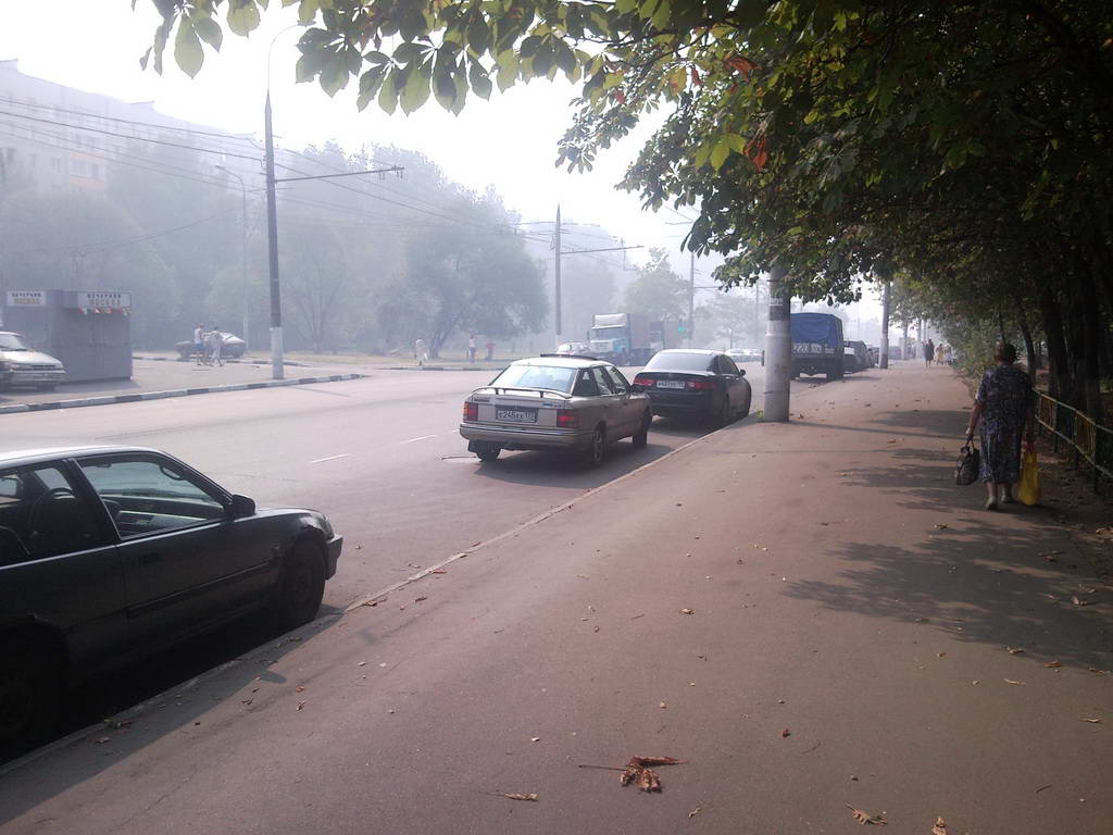 Улица Молостовых, напротив Биоп.jpg