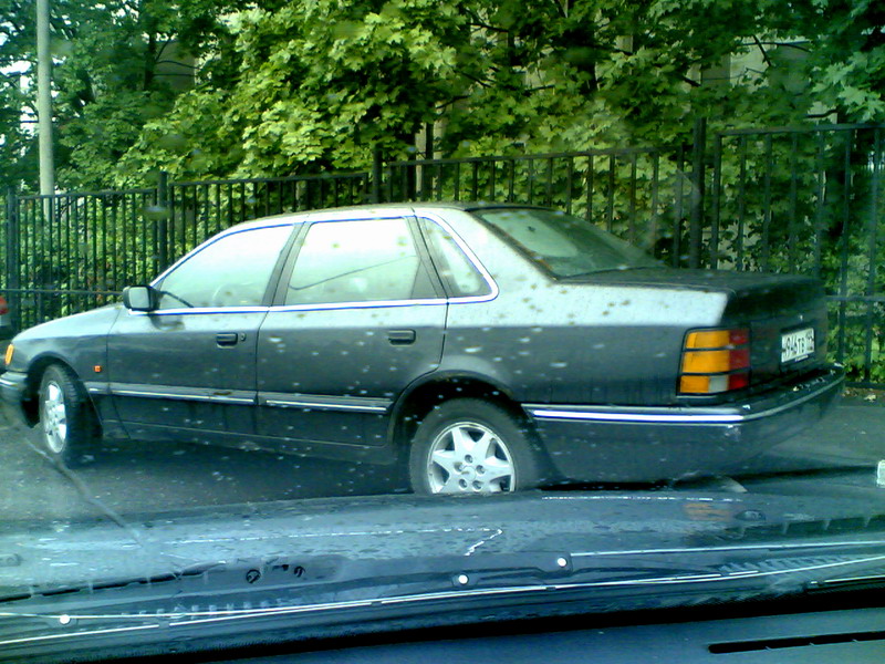 скорп.jpg