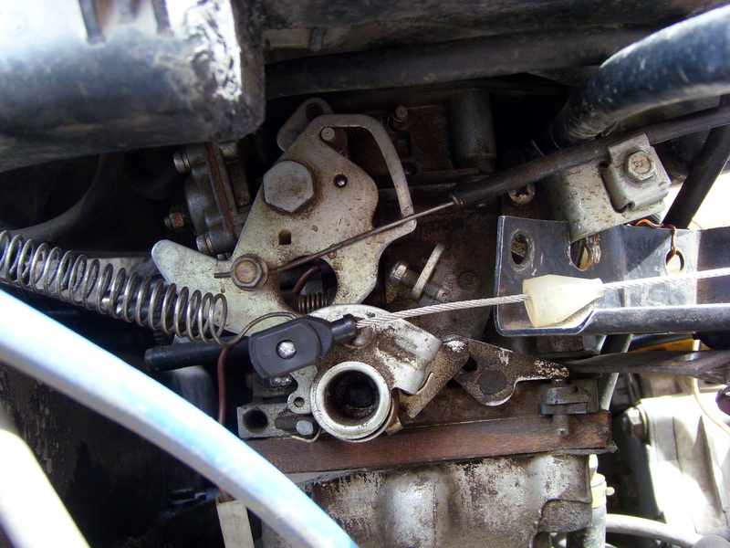 SI859441.JPG