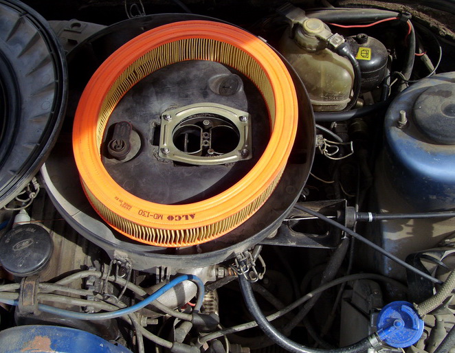 SI859439.JPG