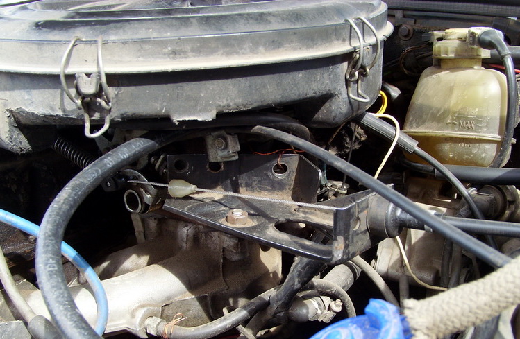 SI859438.JPG