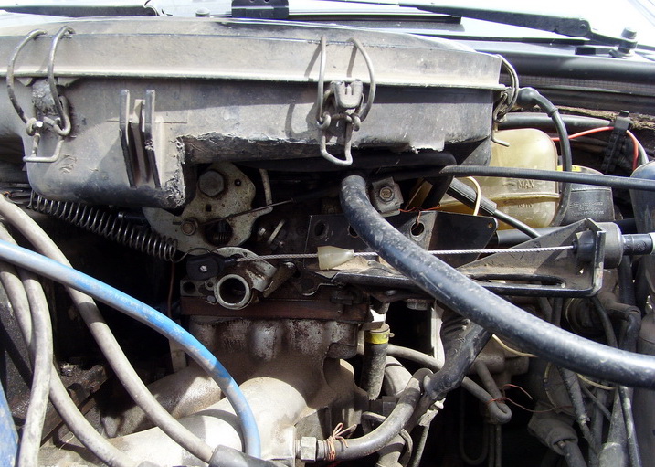 SI859437.JPG