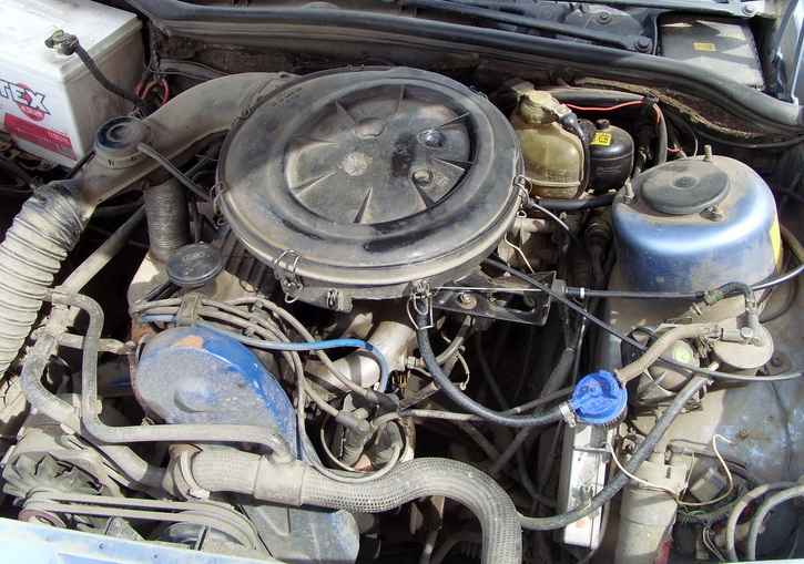 SI859436.JPG