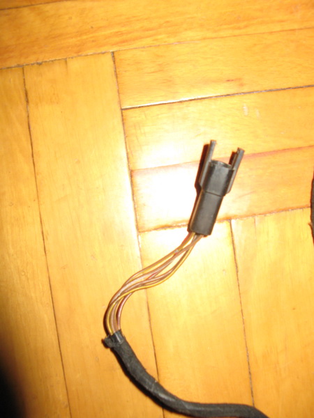 IMG_2835_resize.JPG