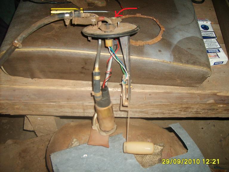 S5000562.jpg
