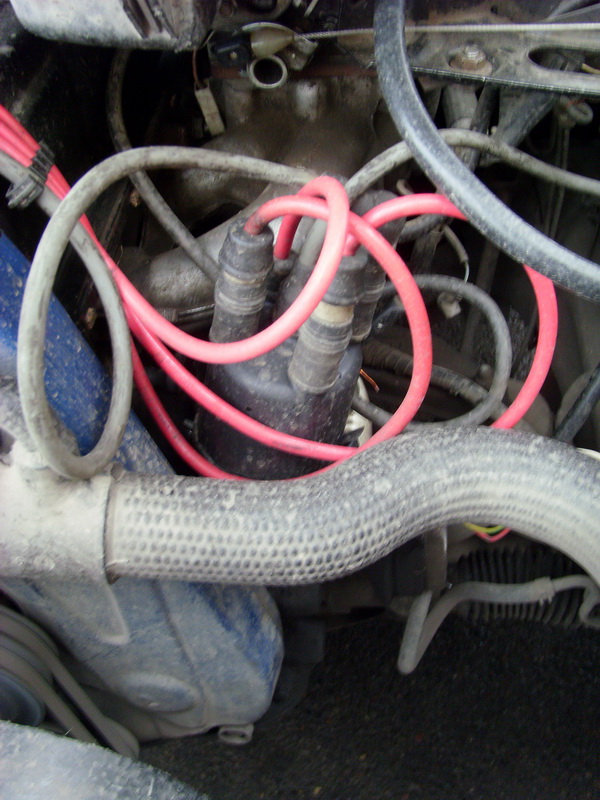 SI859924.JPG