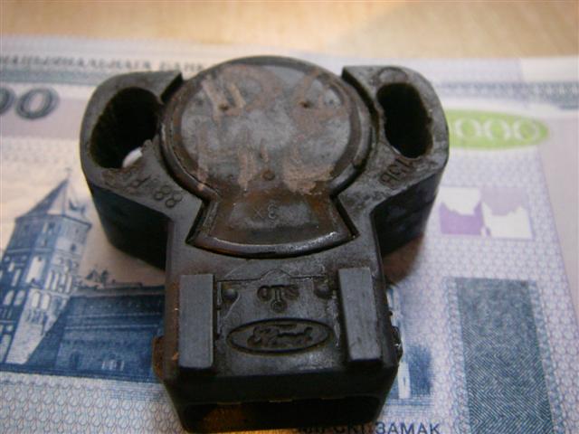 IMGP6754 (Мелкий).JPG