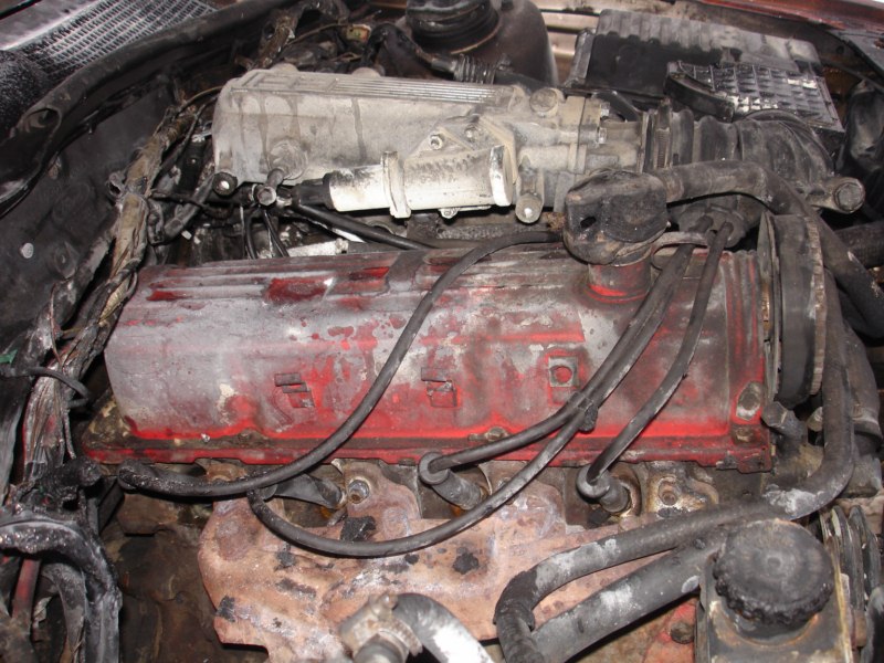 DSC02280 [800x600].jpg