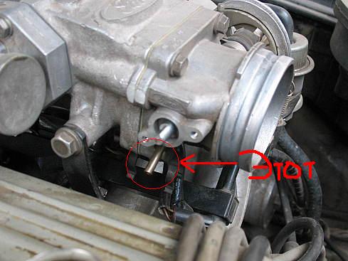 49841340.jpg
