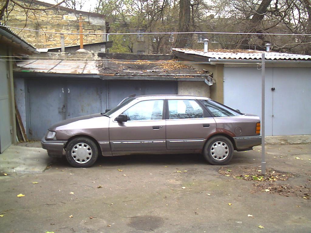 02.JPG