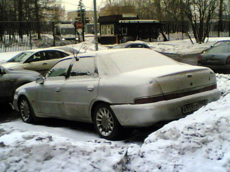 скорп.jpg