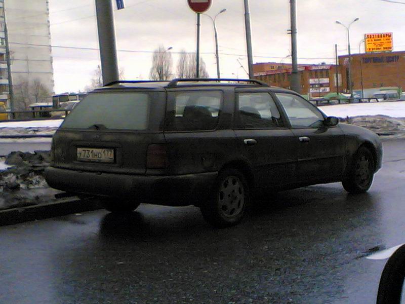скорп1.jpg
