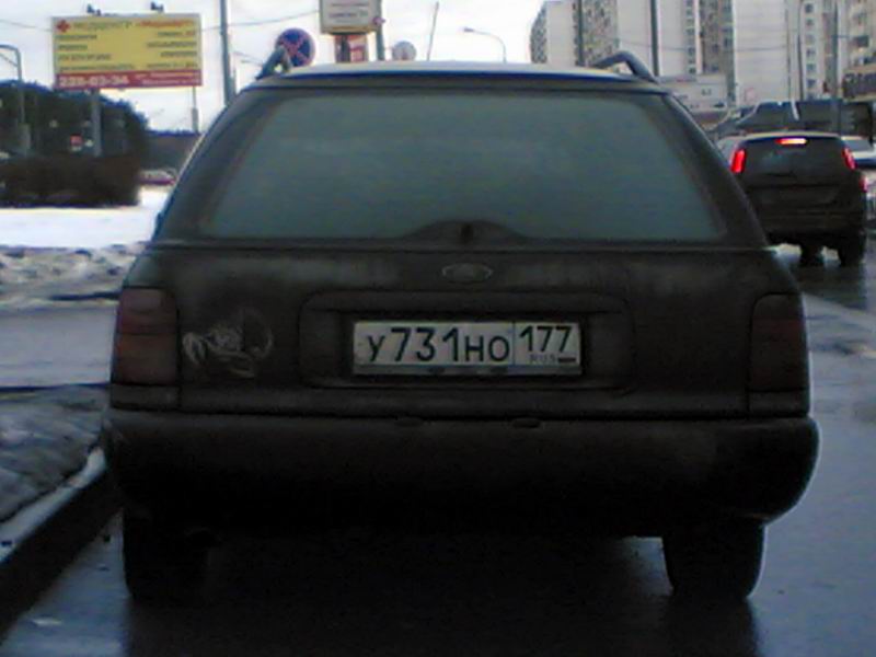 скорп2.jpg
