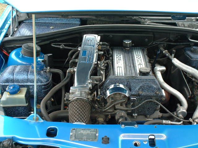 129_G.jpg
