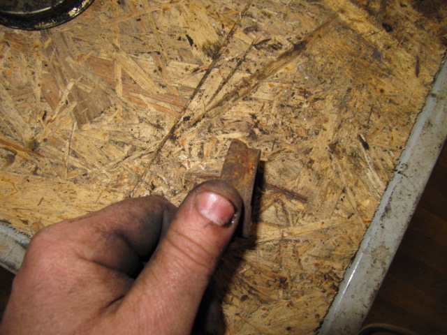 IMG_2484.jpg