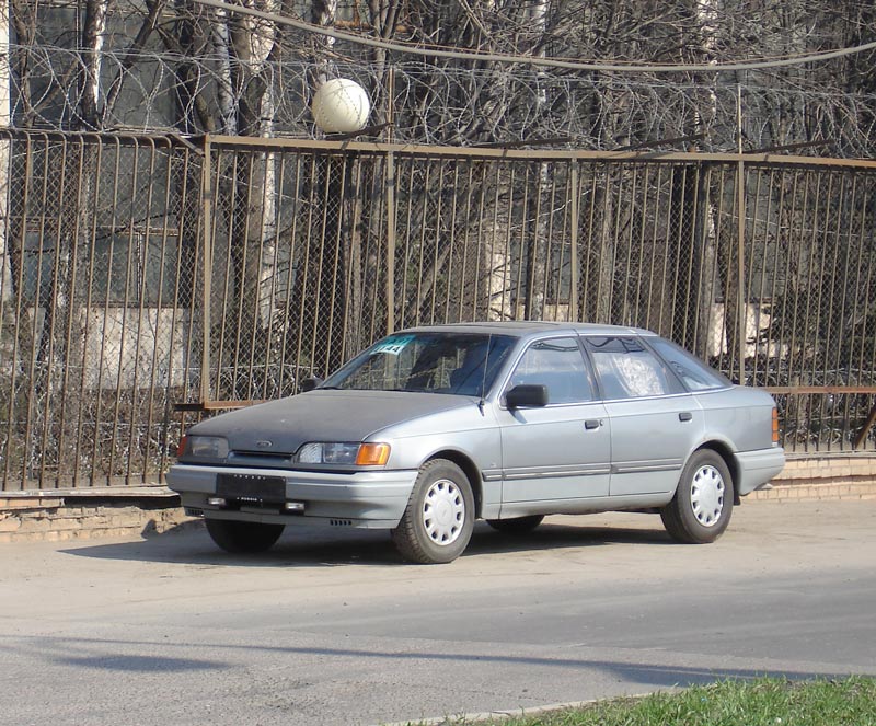 DSC02481.jpg