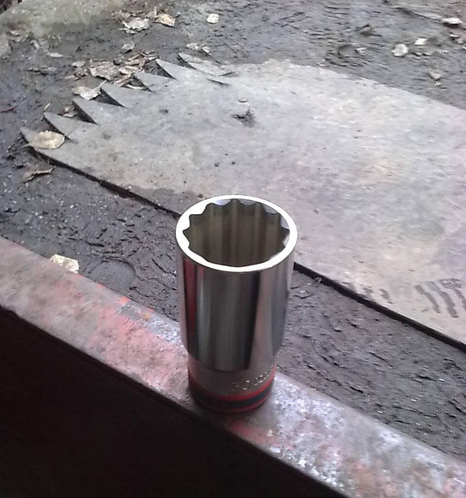 5773878.jpg