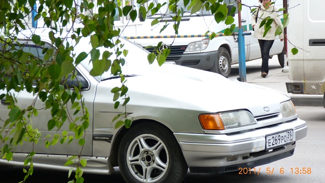 P1000694.JPG