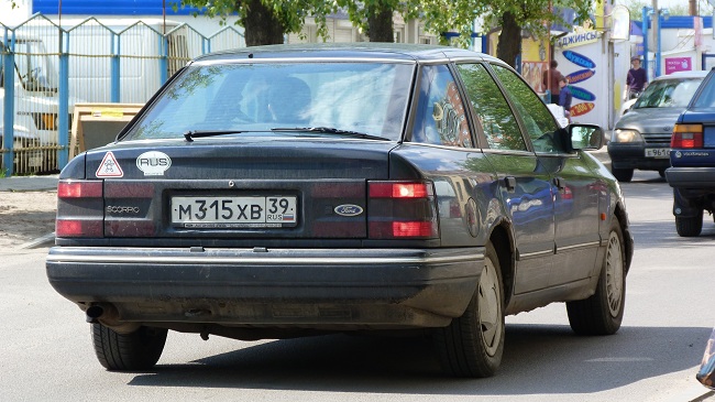 P1000683.JPG