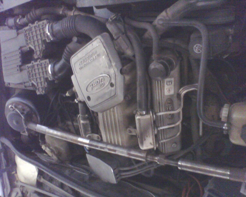 picture_00085.jpg