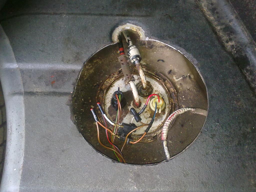 31072011374.jpg