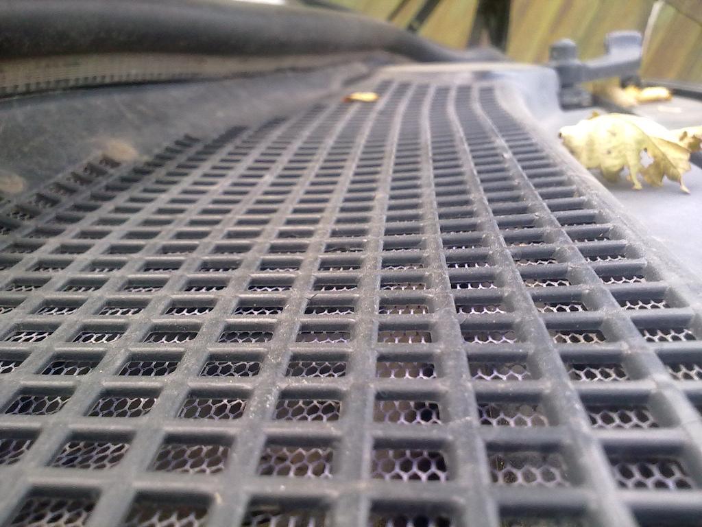 31072011371.jpg