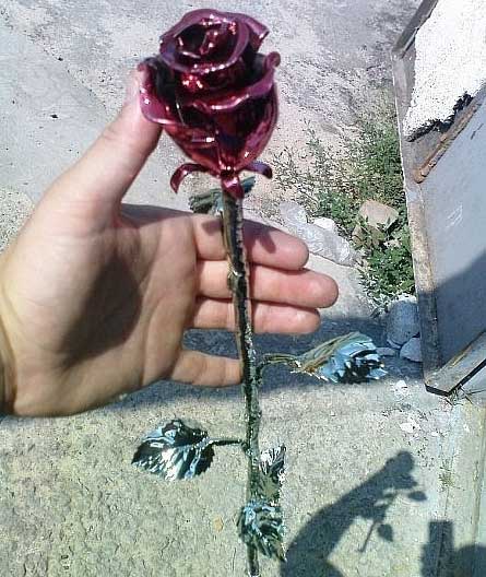 rose.jpg