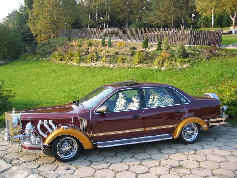 kinderman1pol1ii5.jpg