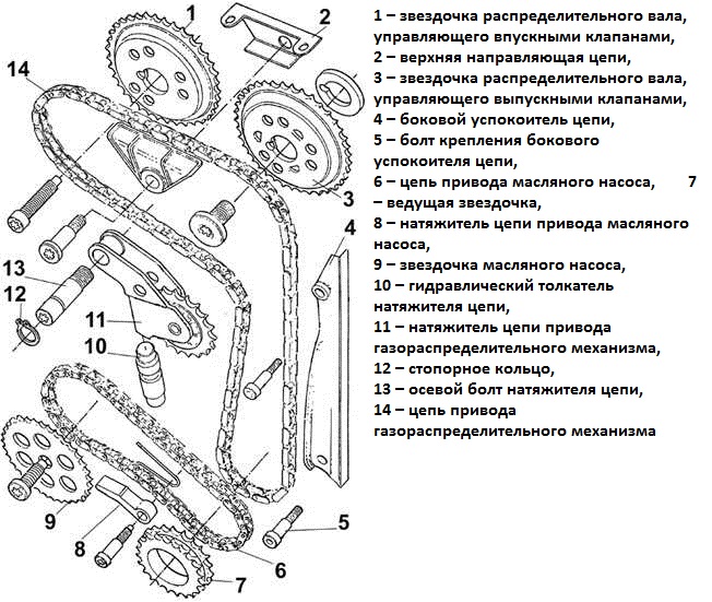 foto2-2r.jpg
