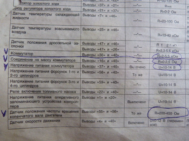 P1000151.JPG
