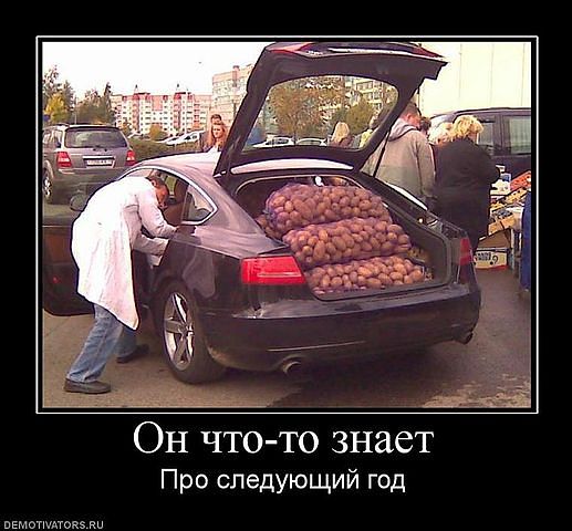 авоська.jpg